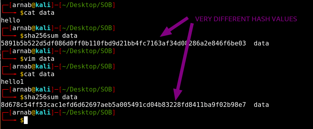 terminal.png